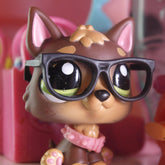 Glasses (Aftermarket)